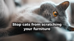 2Pk Cat Scratching Mat Sisal 60X40Cm Kitten Scratcher Board Pad Pet Toy Supplies - Image 2